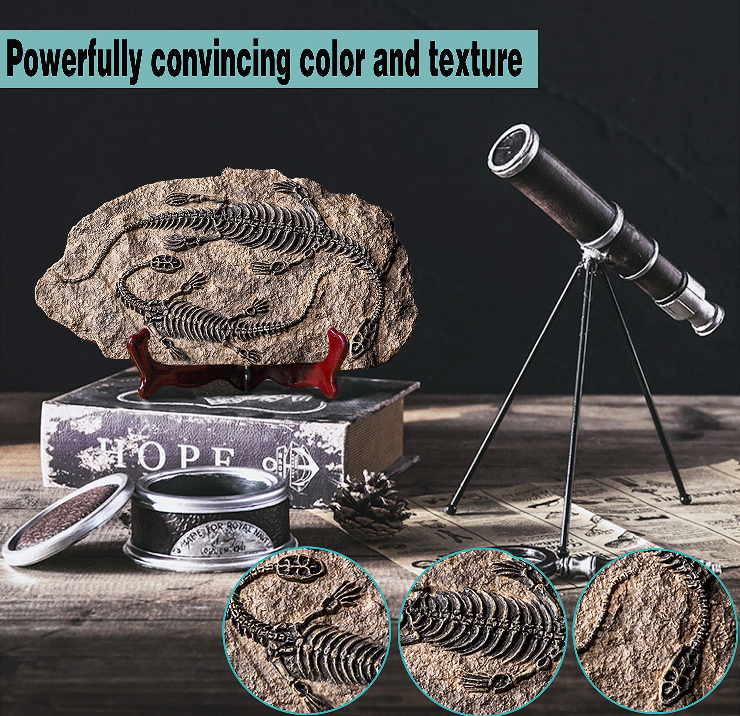 🦖Dinosaur Fossil Decor Statue