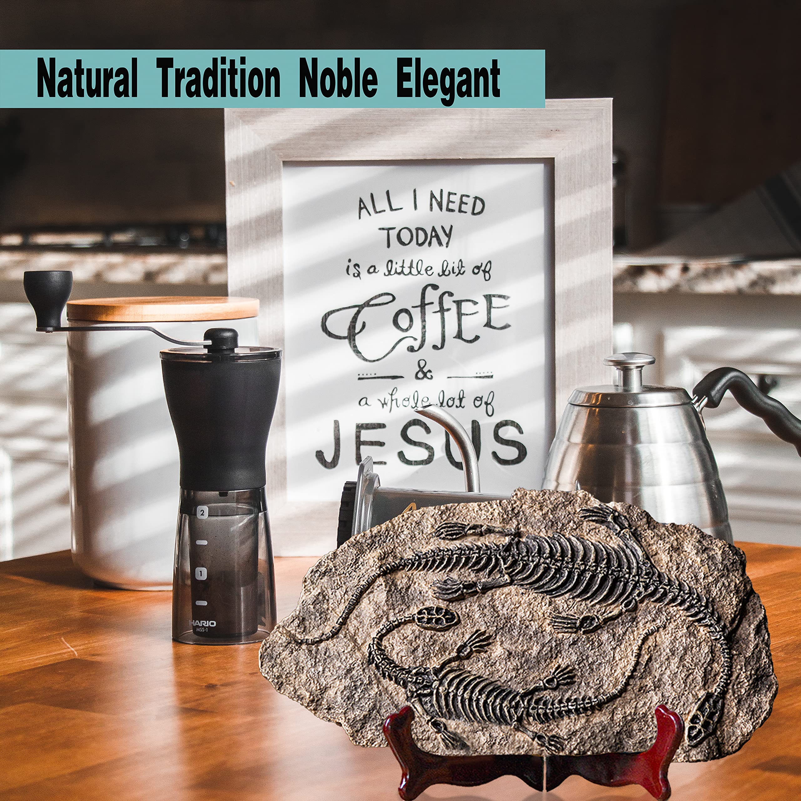 🦖Dinosaur Fossil Decor Statue