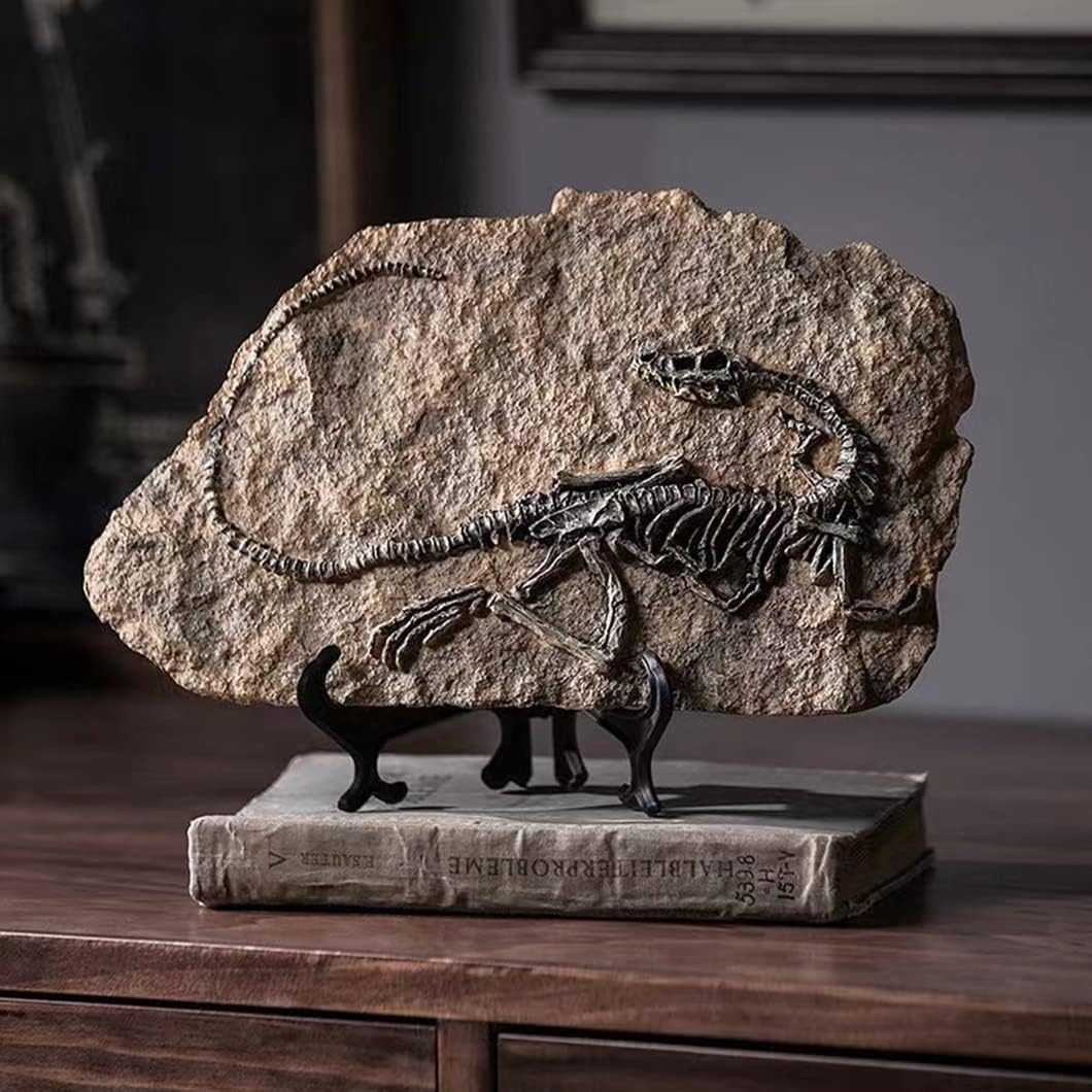 🦖Dinosaur Fossil Decor Statue