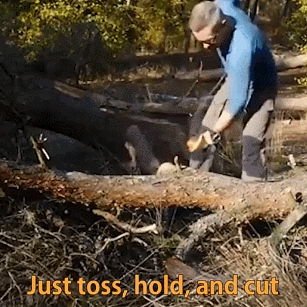 High Reach Tree Limb Hand Rope Chainsaw