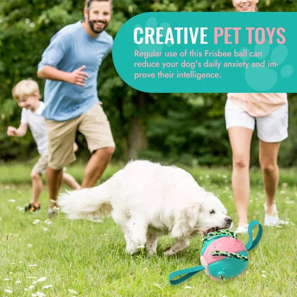 49% OFF🔥Dog Flying Ball With Tug Of War