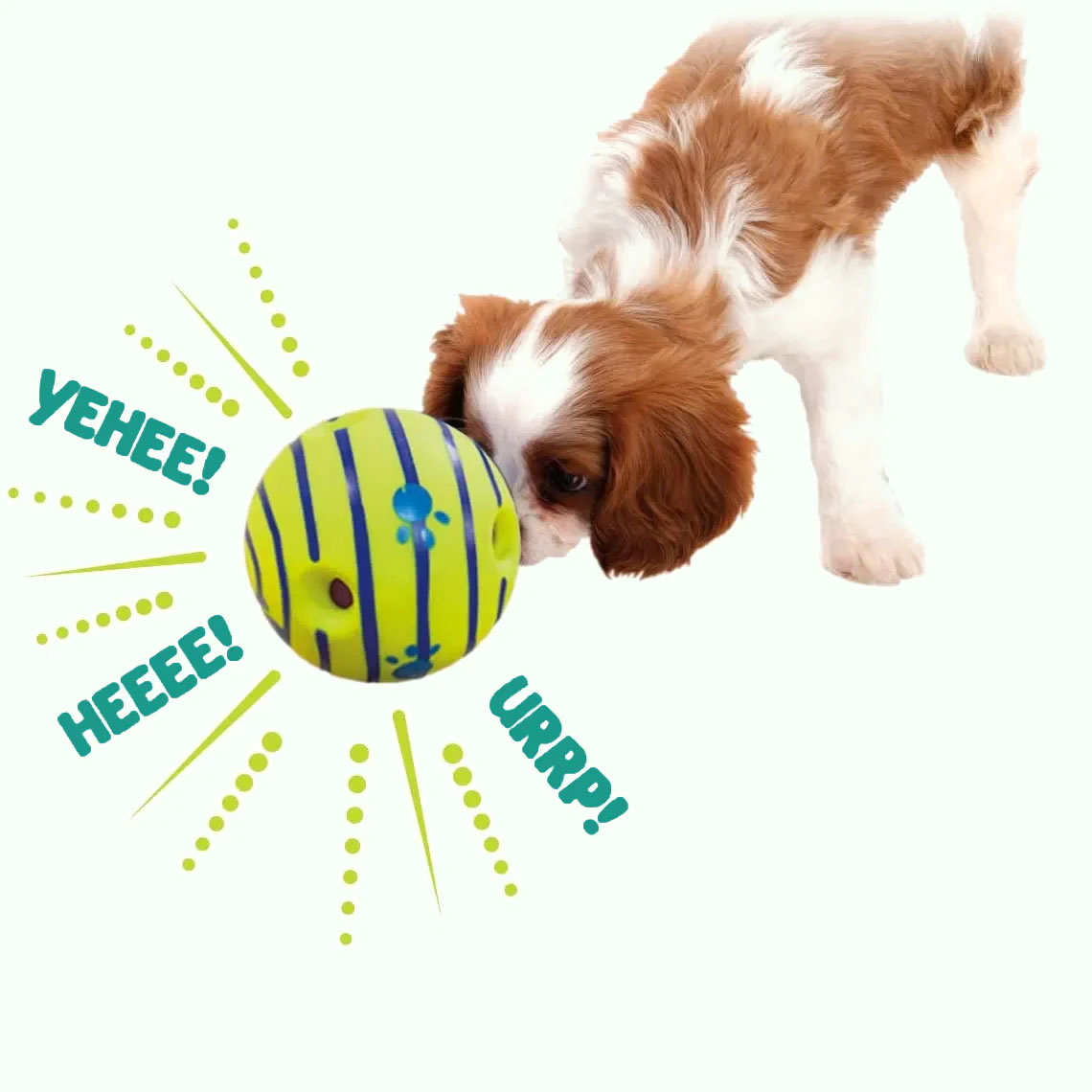 Petsboro™ Interactive Dog Ball Toy