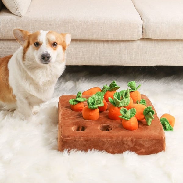 Carrot Field Snuffle Toy