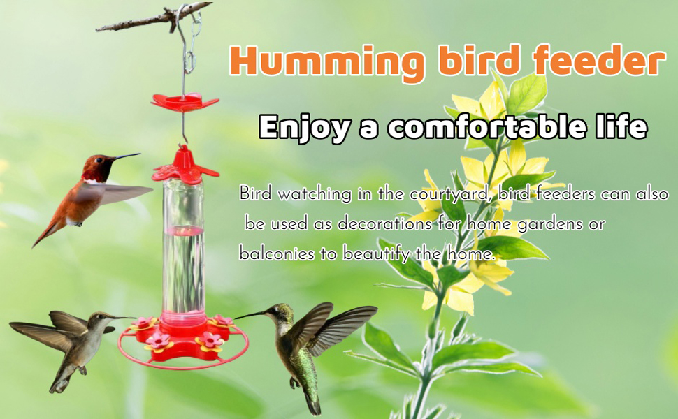 Hummingbird Feeder for Outdoors
