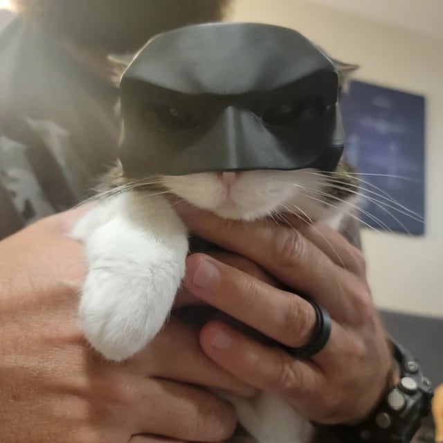 🔥Last day Clearance Sale-50% OFF--Bat Cat Avenger Mask--🔥🔥Buy More Free More!!