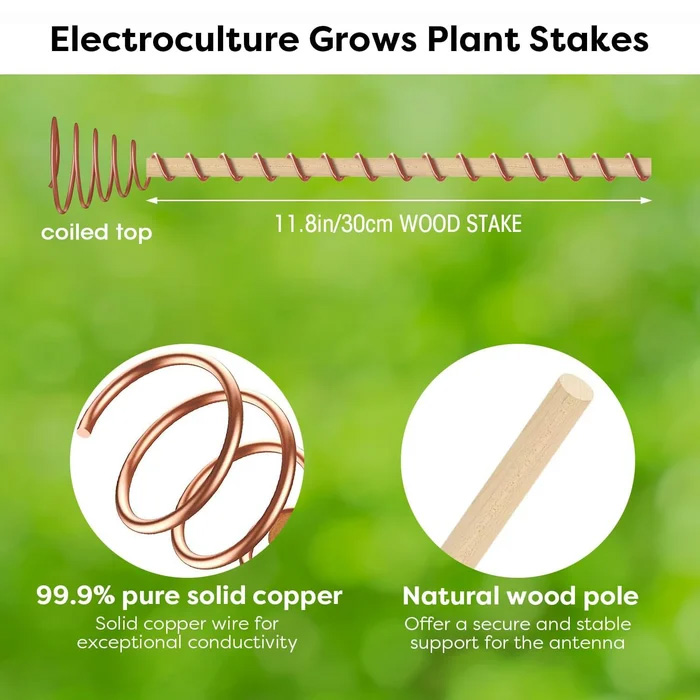 12"Electroculture Plant Stakes, High-Yield, Eco-Friendly