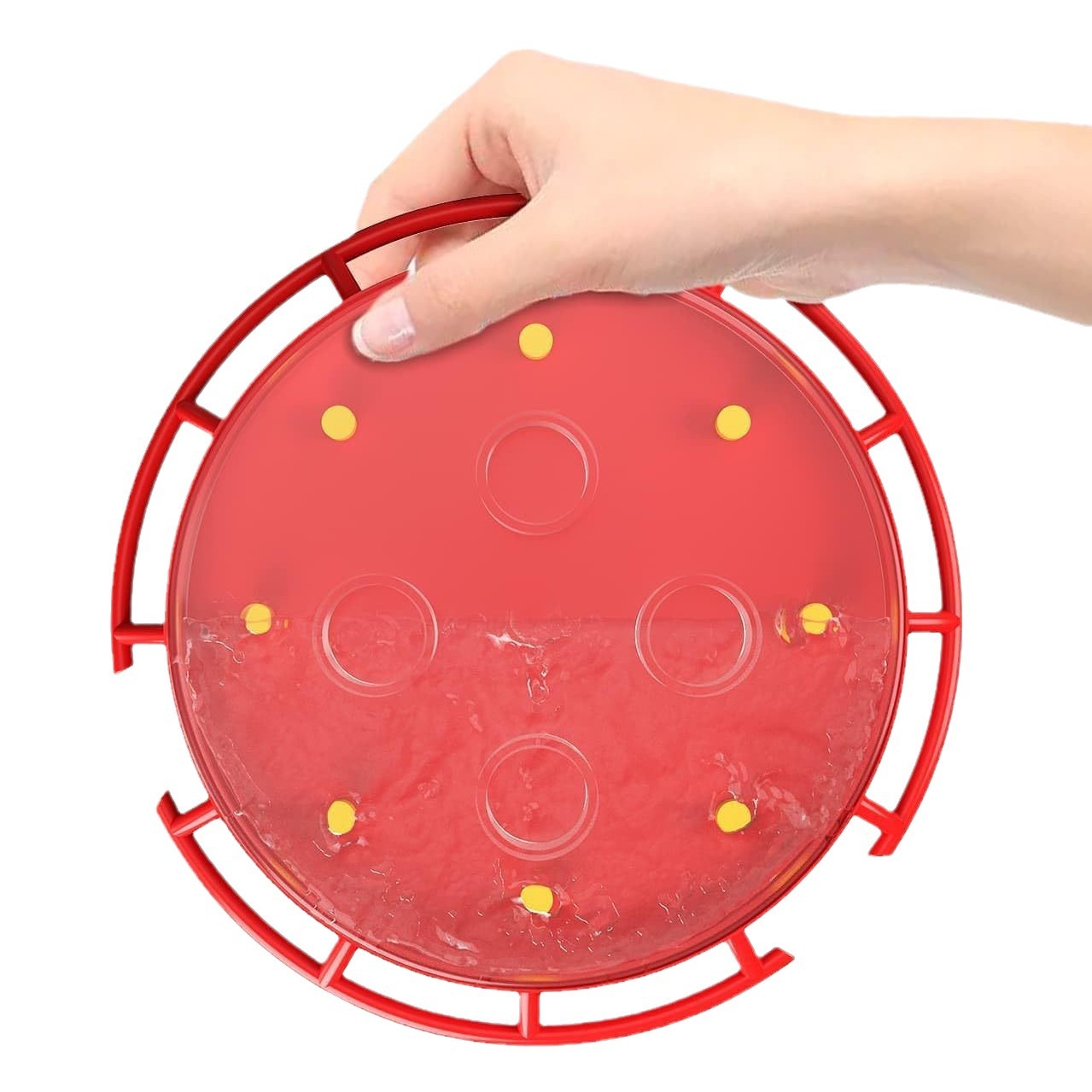 Hummingbird Feeders for Outdoors