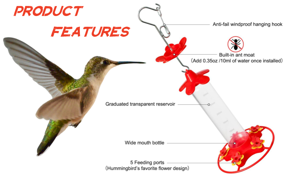 Hummingbird Feeder for Outdoors