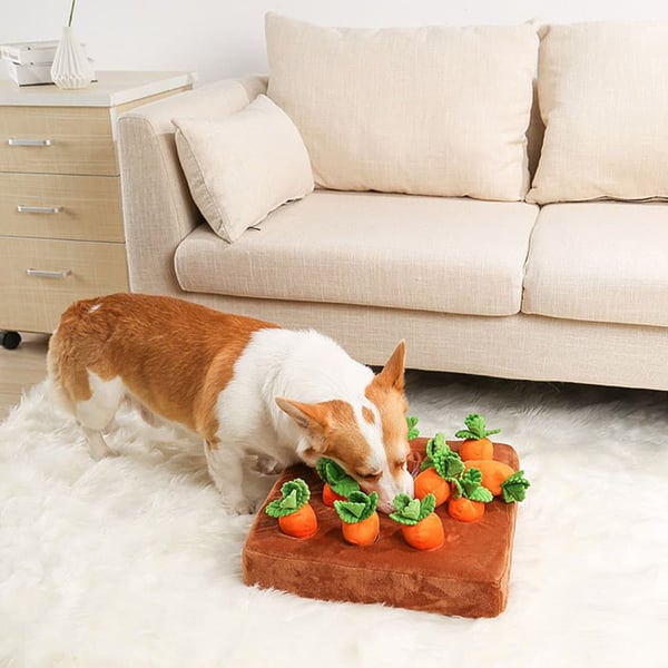 Carrot Field Snuffle Toy
