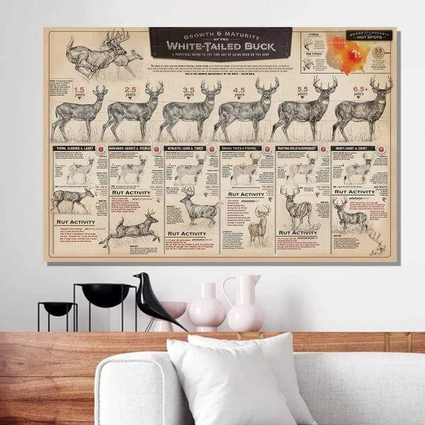 🦌"THE GROWTH AND MATURITY OF THE WHITE-TAILED BUCK"CANVAS PRINTS