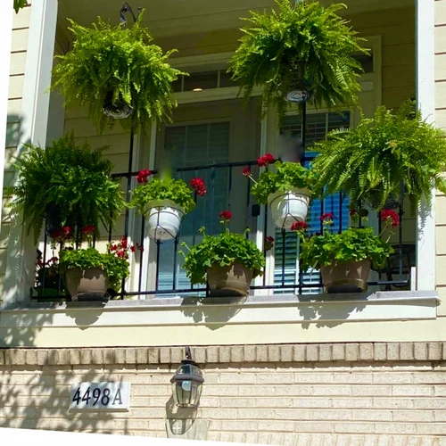 🔥RailScapes Plant Clip