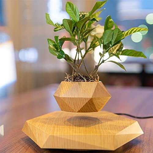 Keillini™ Levitating Plant Pot