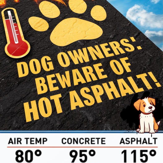 ❤️Anti-Shedding Dog Paw Protectors Shoes for Hot Pavement