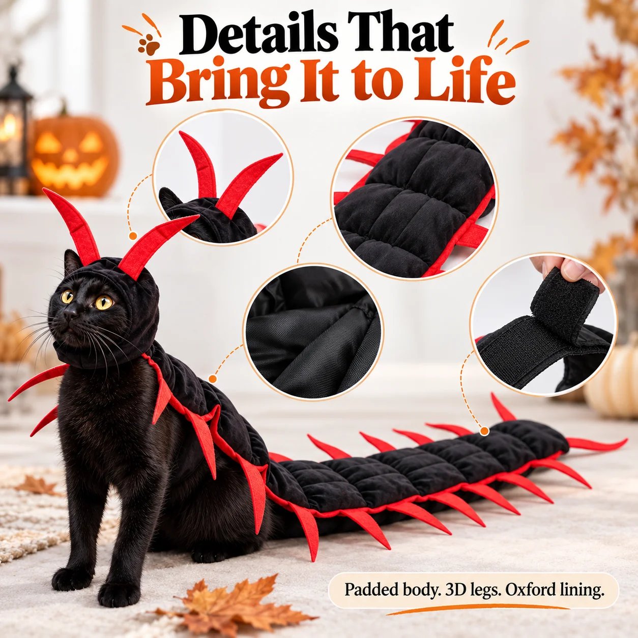 Pet comfortably exploring indoors wearing full centipede costume Pet comfortably exploring indoors wearing full centipede costume