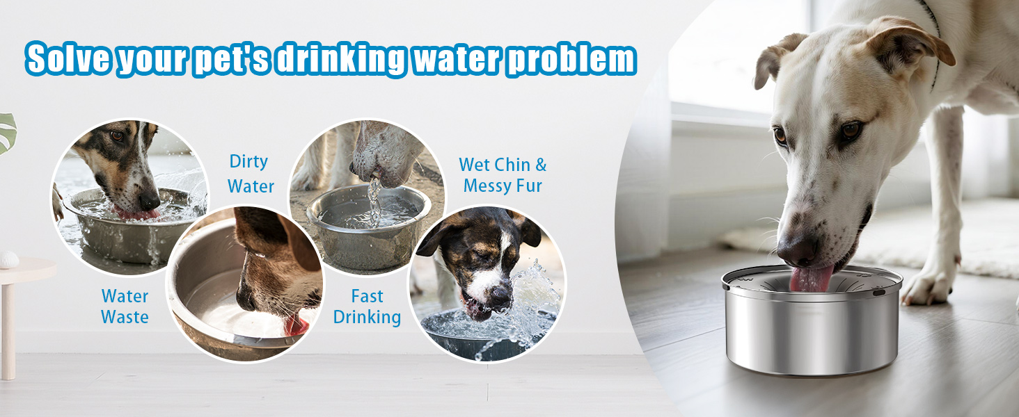 outdoor dog water bowl