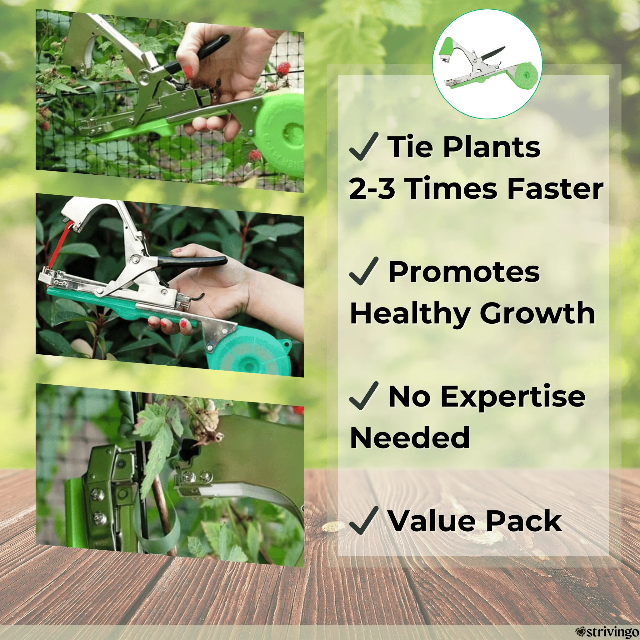 🔥49% OFF ENDS TODAY | 💥 Plant Tying Machine