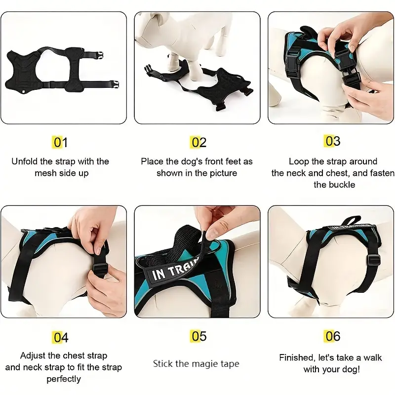 🐶service dog vest