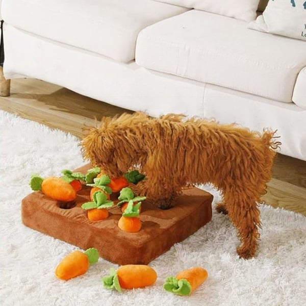 Carrot Field Snuffle Toy