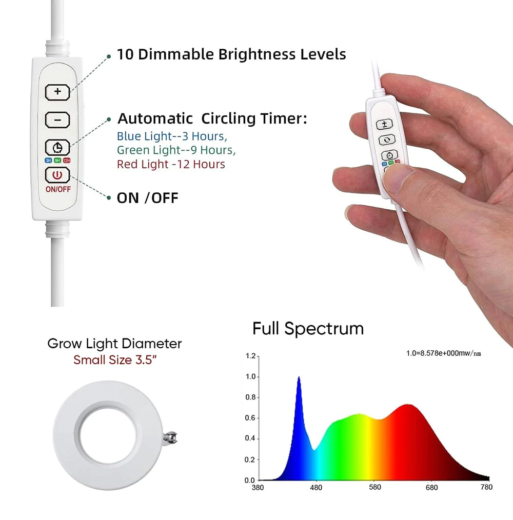 Bring The Sun's Growth Energy Home (40% OFF TODAY)