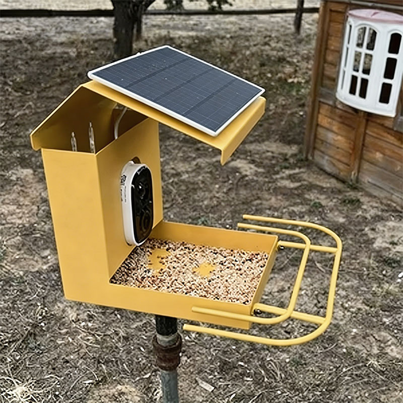 🐦 Smart Bird Feeder with Camera – Your Backyard Bird-Watching Studio ✨