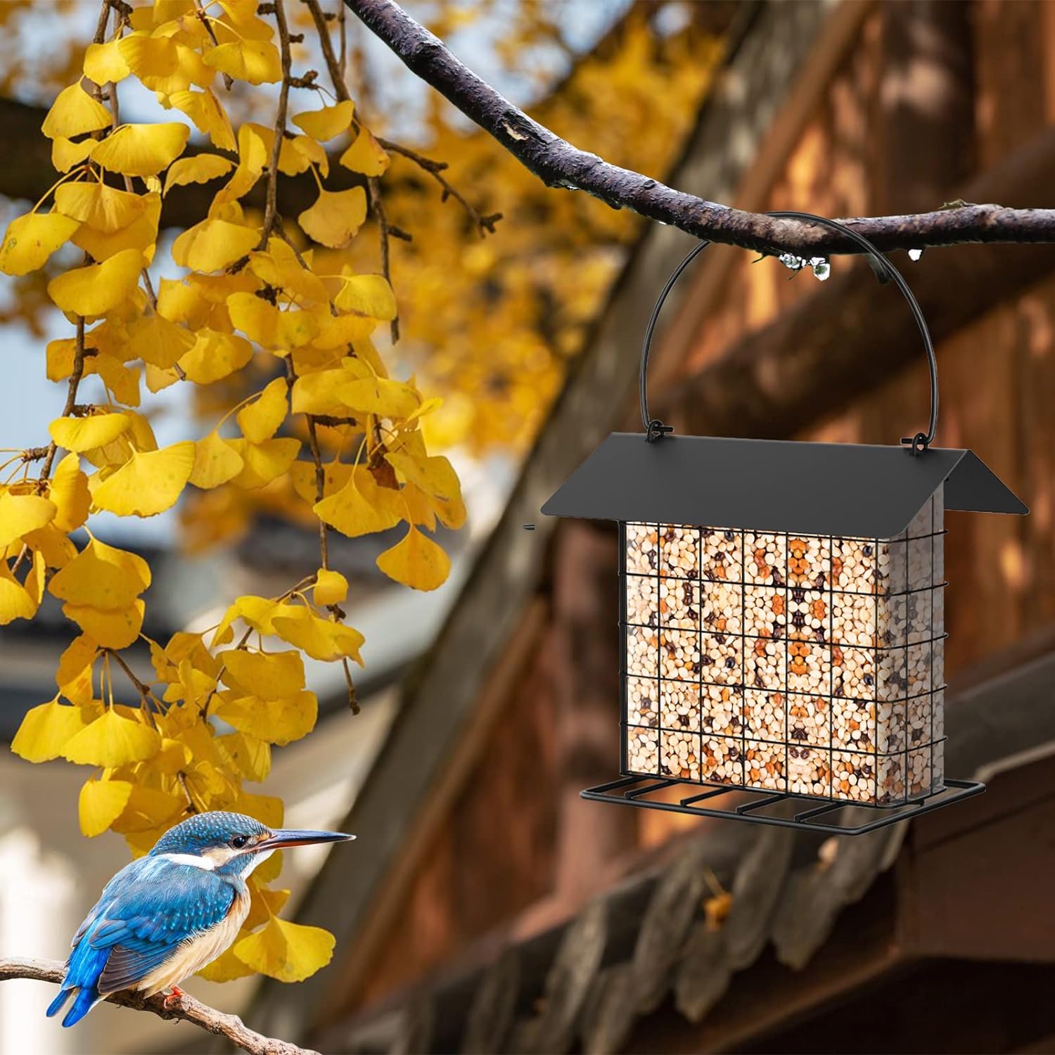 Hanging Suet Holder Cage Cake Bird Feeder for Outside - Squirrel Proof & Rainproof