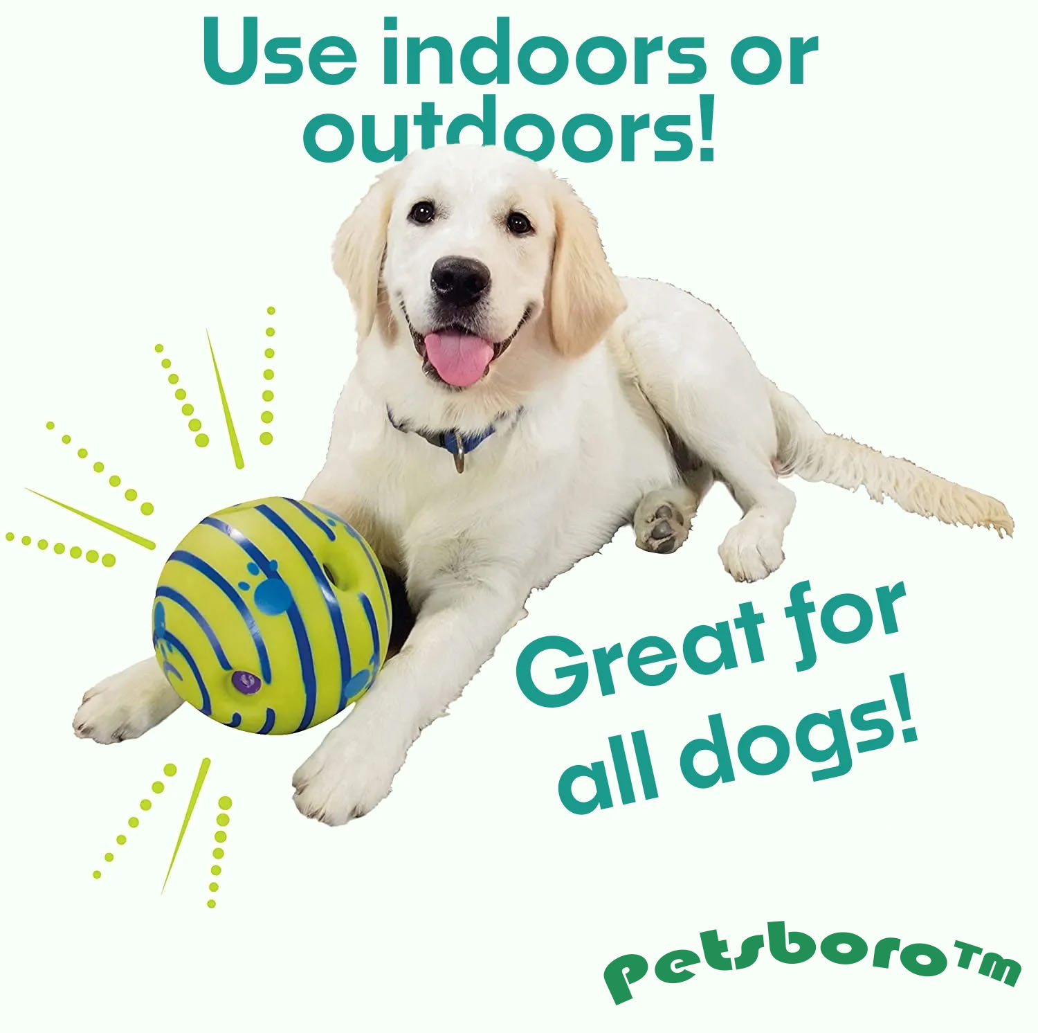 Petsboro™ Interactive Dog Ball Toy