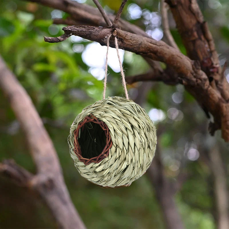 🔥ONE DAY 50% OFF-🐦Hummingbird Nest House（2 Pcs）