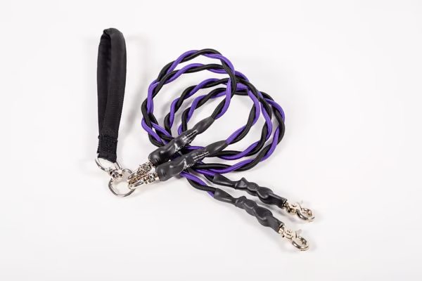🔥Last Day🔥🐕Double Bungee Leash - 1st step training tool
