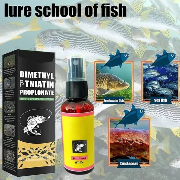 🔥New Natural bait Scent Fish Attractants for Baits - For all types