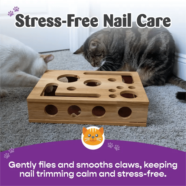 🎁🎄Cat Scratch Puzzle Enrichment Box: Nail File Stress Free Alternative to Clippers and Grinders