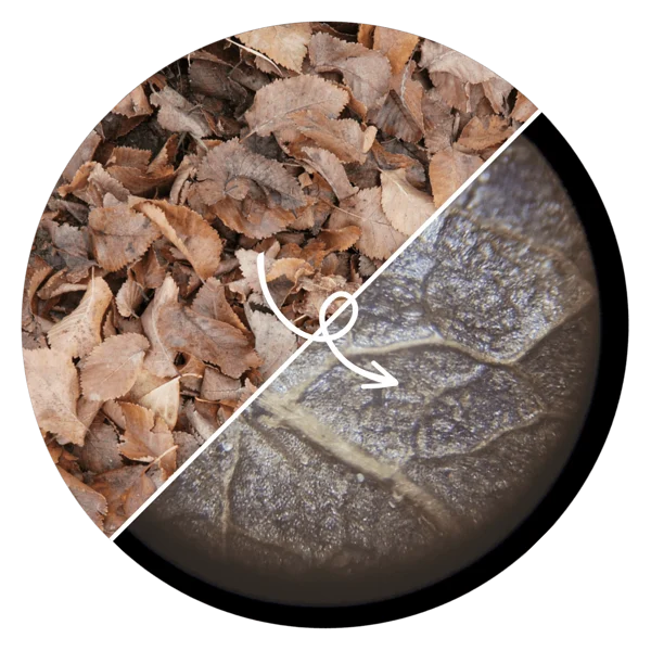 🔥 49% Off - Kid's Portable Pocket Microscope - Free 12 Specimens