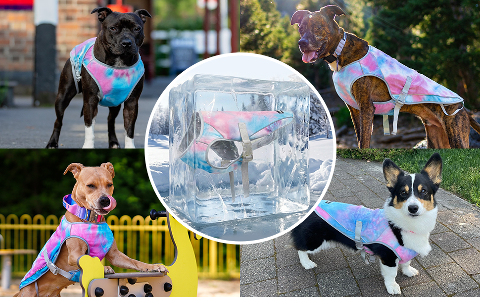 Spark Paws Dog Cooling Vest