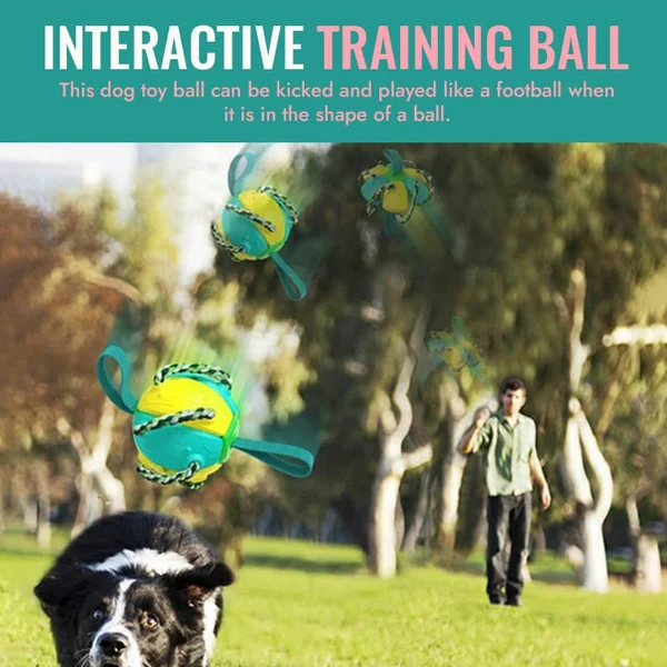 49% OFF🔥Dog Flying Ball With Tug Of War