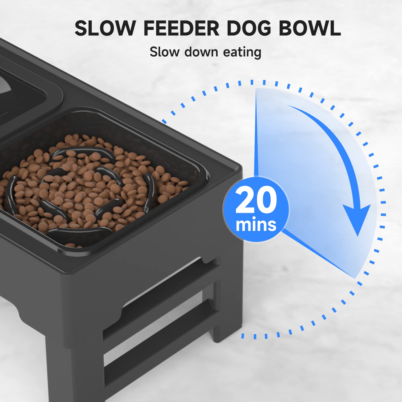 Elevated Slow Feeder Dog Bowl