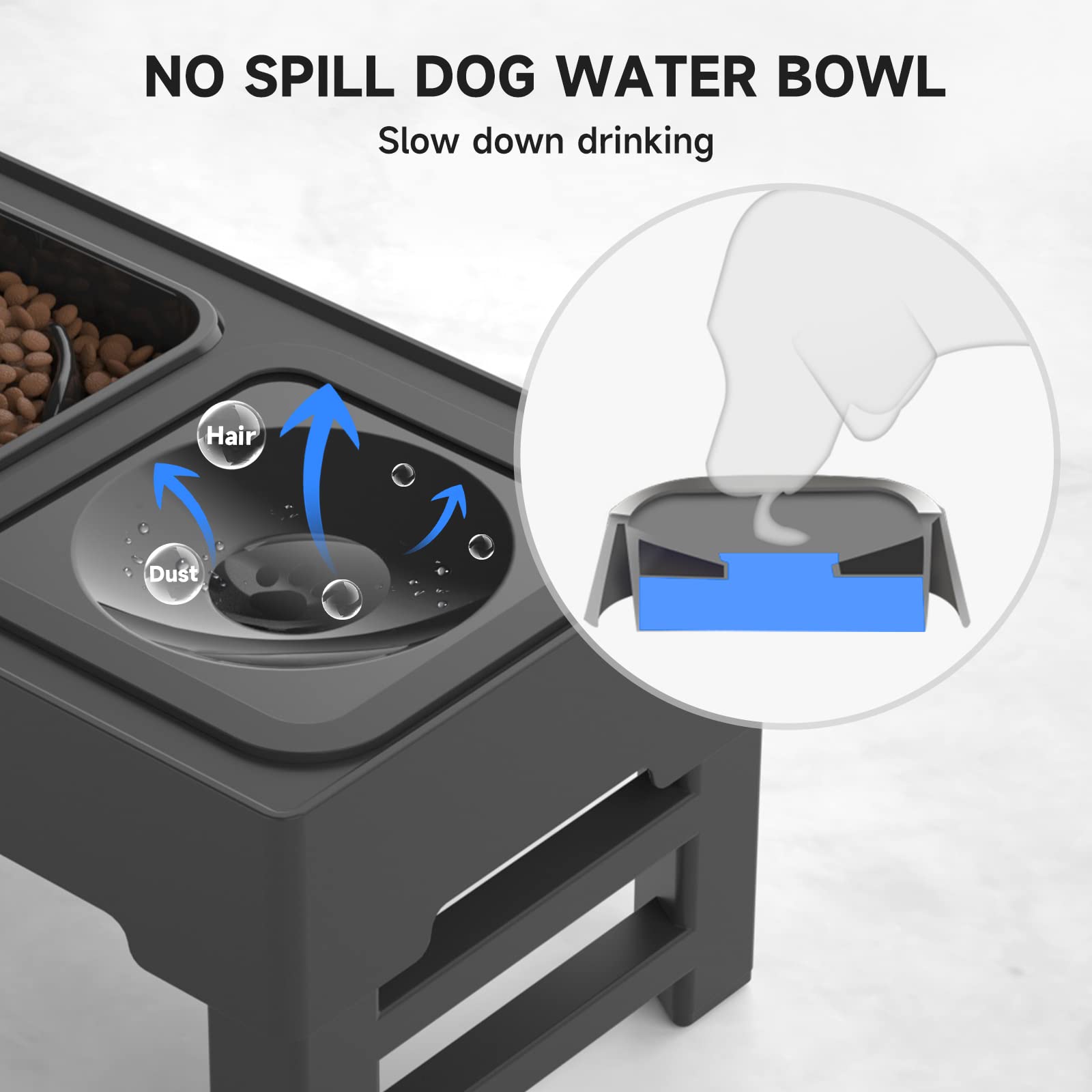 Elevated Slow Feeder Dog Bowl