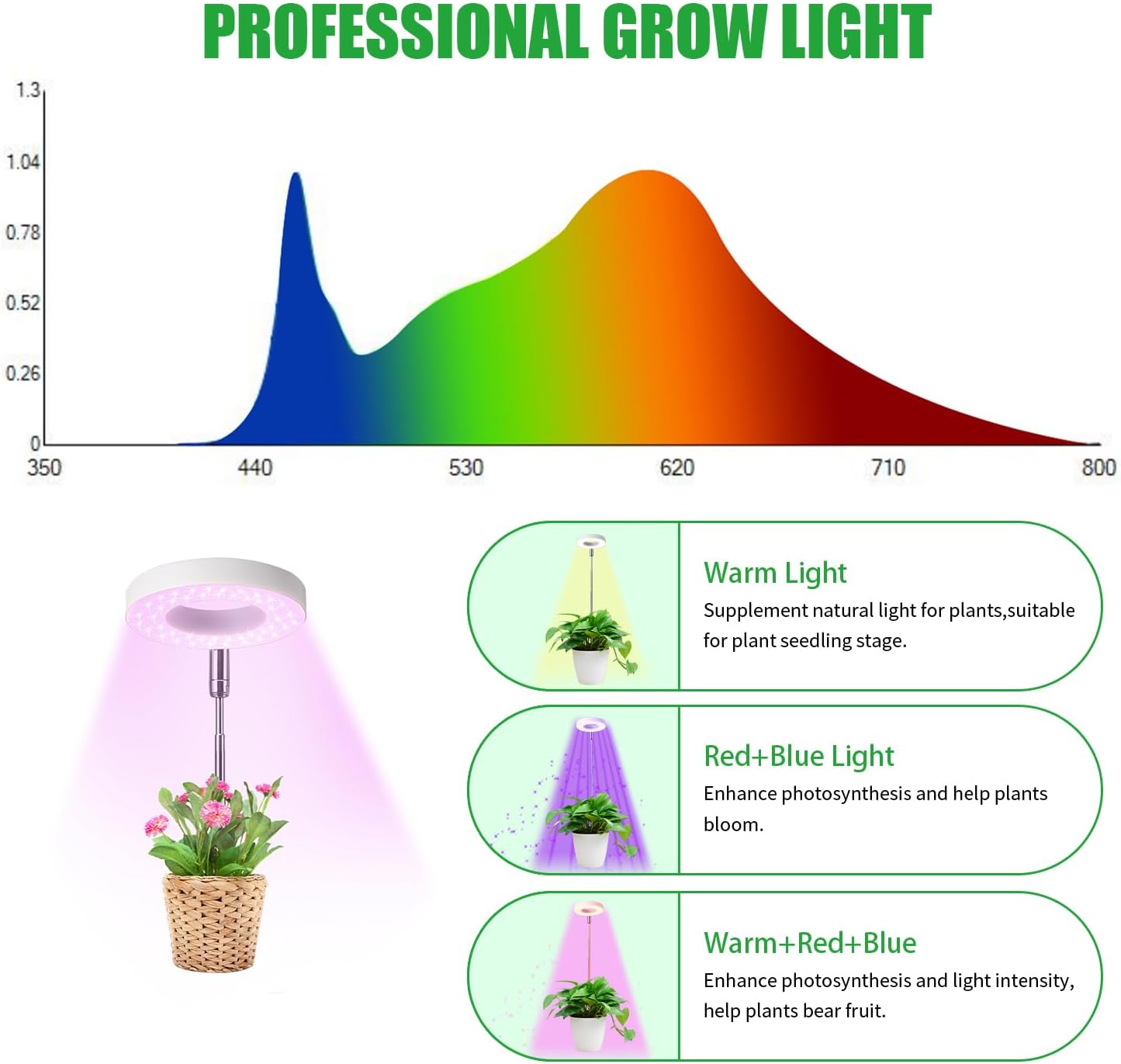 Bring The Sun's Growth Energy Home (40% OFF TODAY)