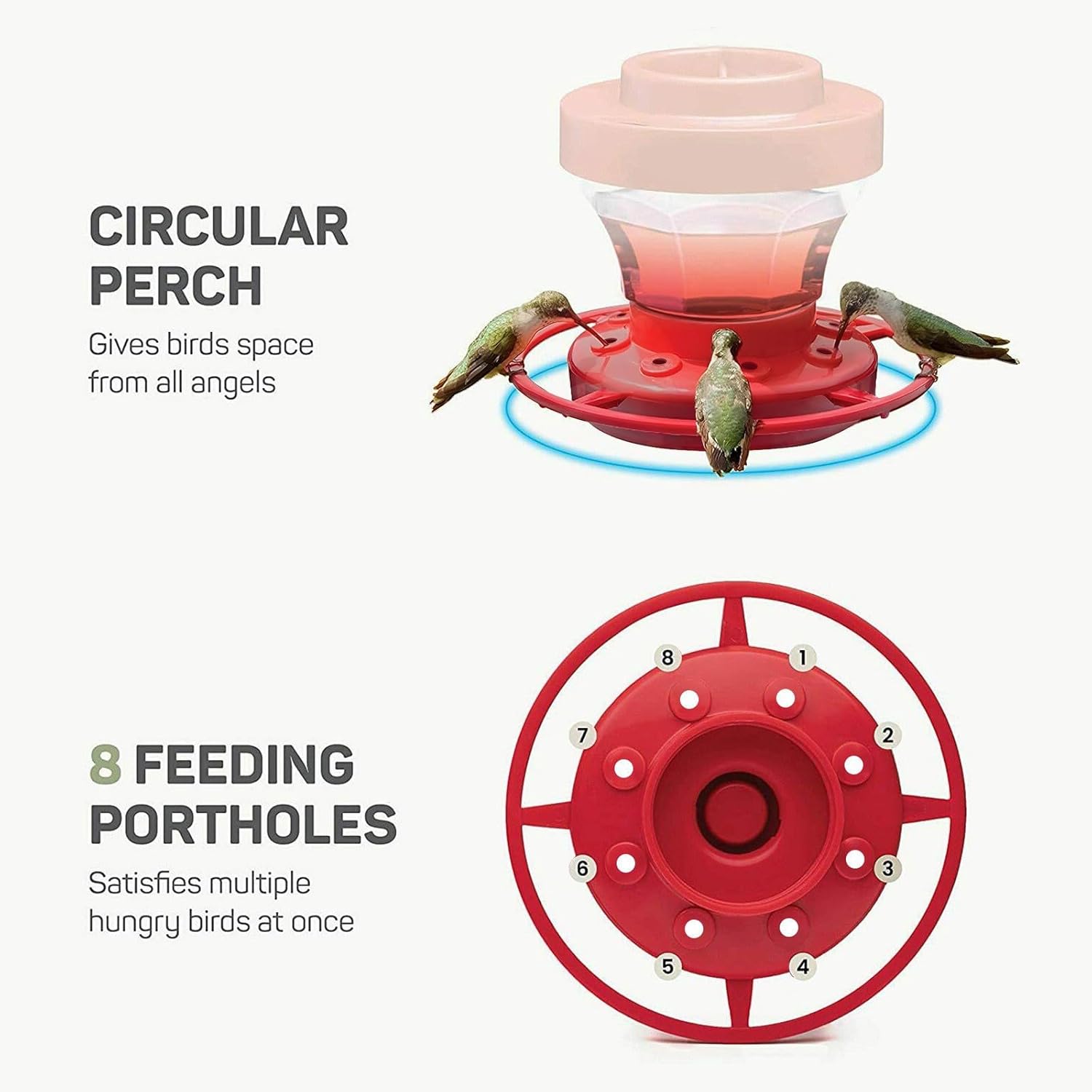 Transparent Hummingbird Feeder for Garden