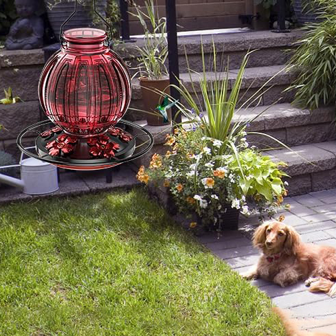 ⏰Last 4 hours Sale: Save 49%-🐦Glass Hummingbird Feeder for Outdoors Hanging