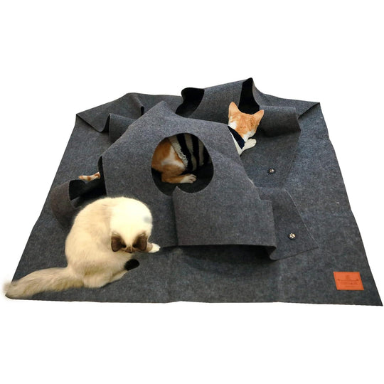 Fun Interactive Pet Activity Play Rug