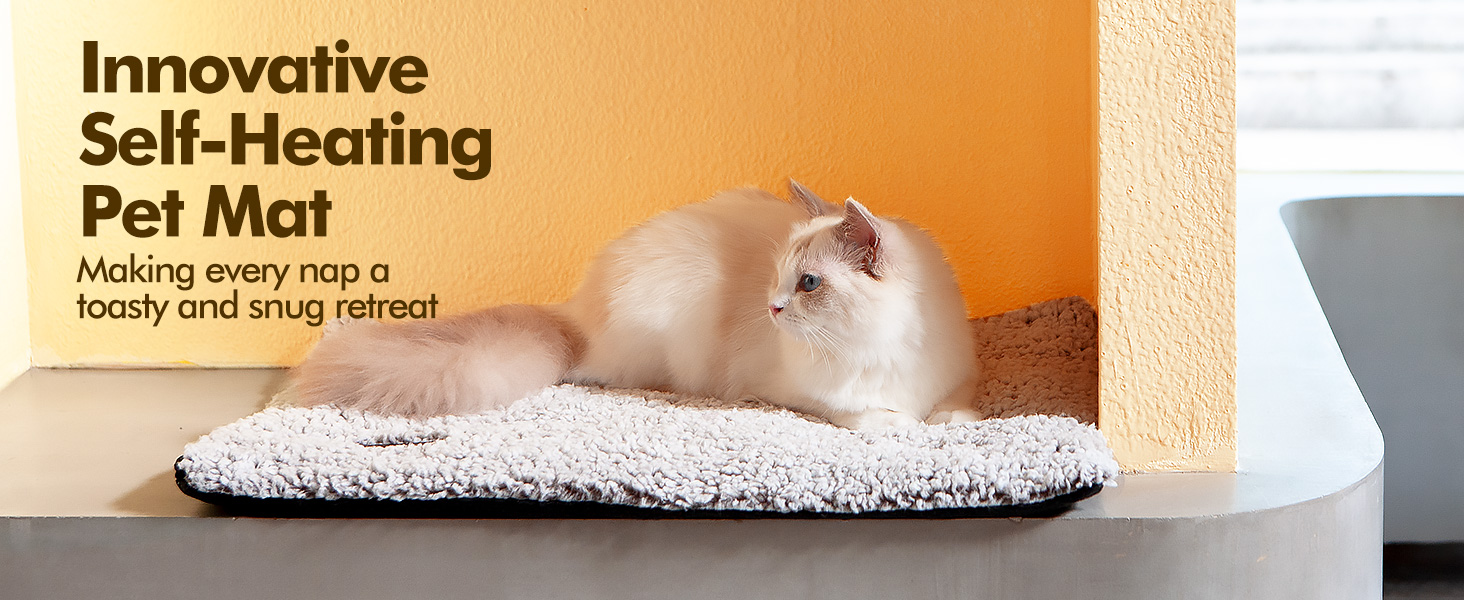 self warming cat bed