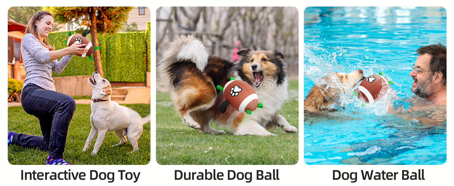 Dog Football Interactive Dog Toy