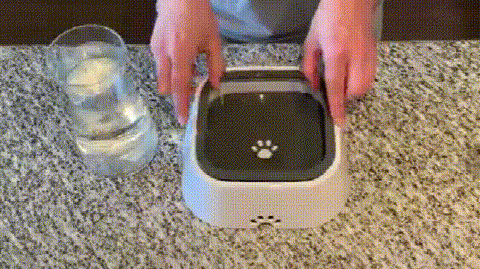 Zero Splash Dog Water Bowl | Why Are Cats Scared Of Water | oilchannel.com.gh