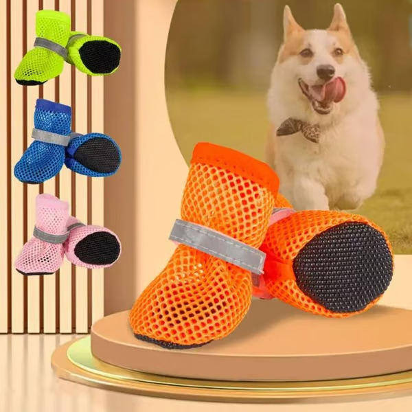 🏆🌸Dog Breathable Mesh Shoes