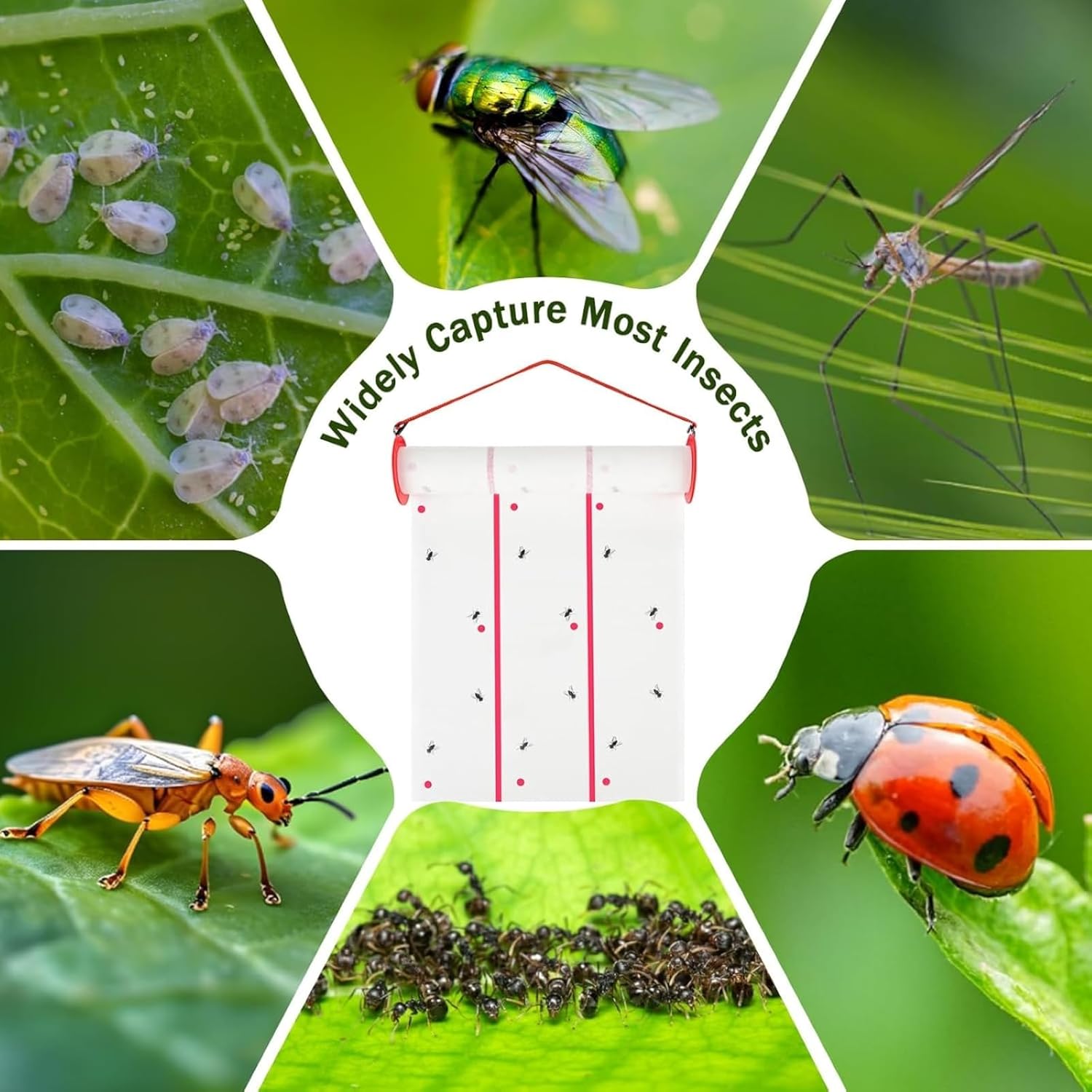 🏡🦟 Giant Sticky Fly Trap Roll