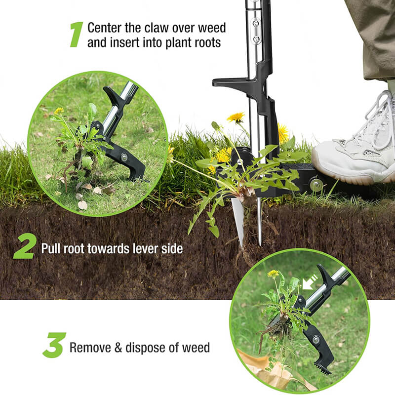Simply place the tool over the weed, step down on the foot pedal, and twist&mdash; the claws grab hold, and with a quick pull, the weed is out, roots and all, then release the grass. It's that easy! Perfect for keeping your garden neat with minimal effort.