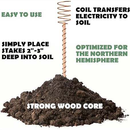 12"Electroculture Plant Stakes, High-Yield, Eco-Friendly