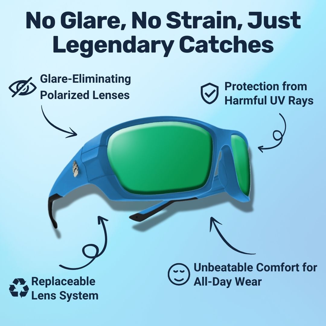 Pro Polarized Sunglasses | Anti-Cratch Coating