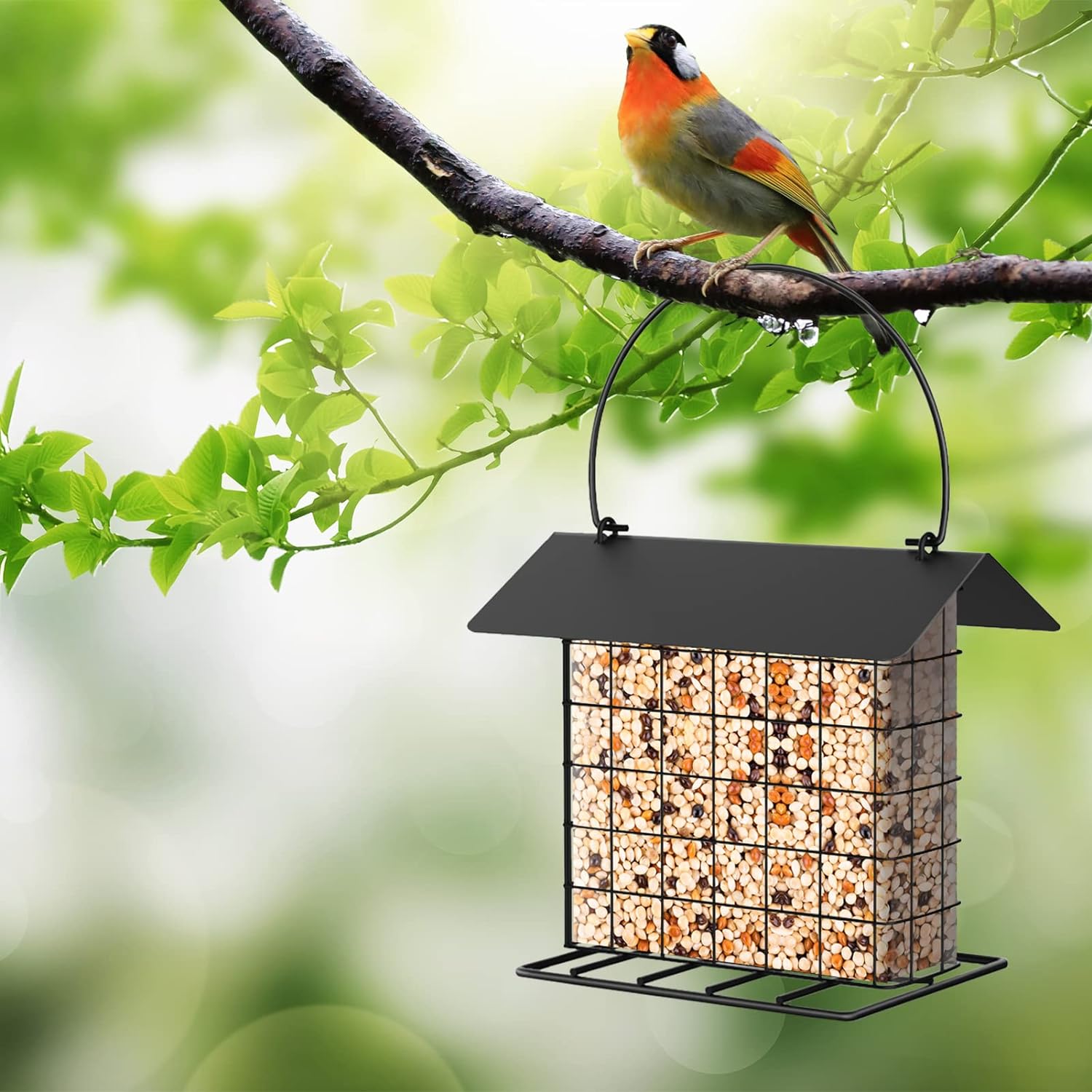 Hanging Suet Holder Cage Cake Bird Feeder for Outside - Squirrel Proof & Rainproof