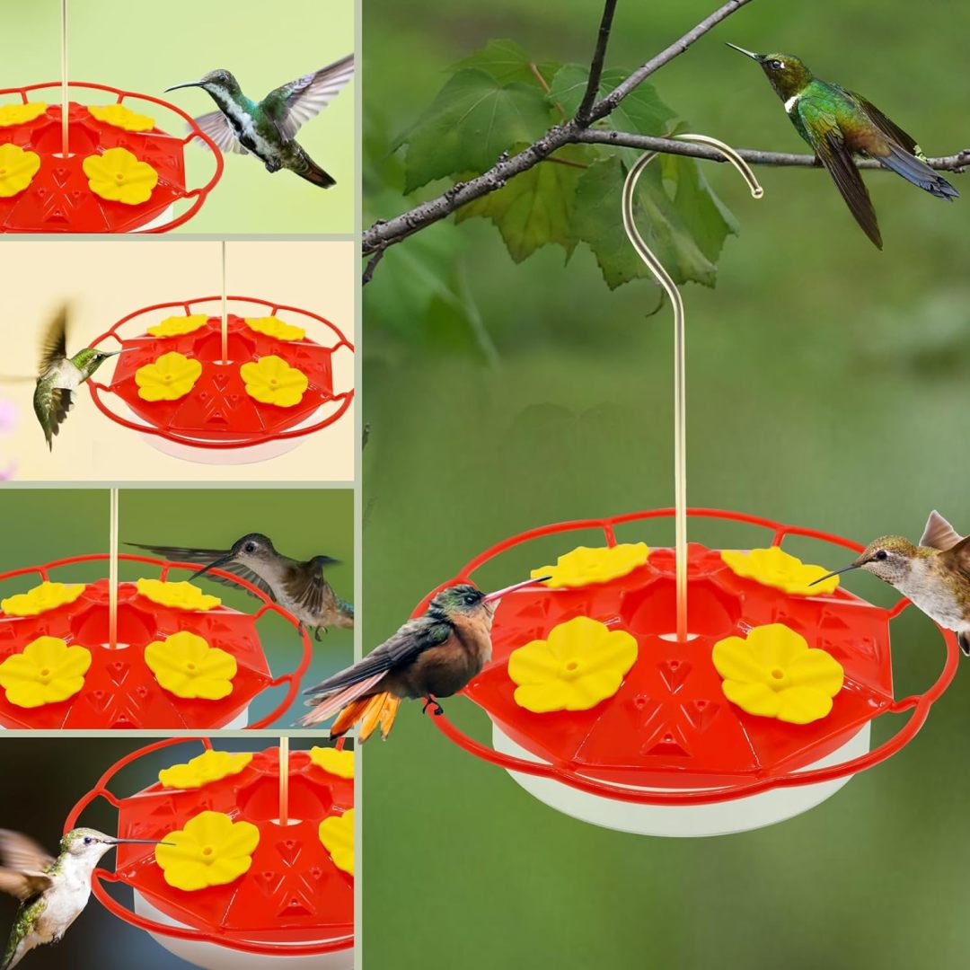 Hummingbird Feeders For Outdoors Hanging Ant And Bee Proof