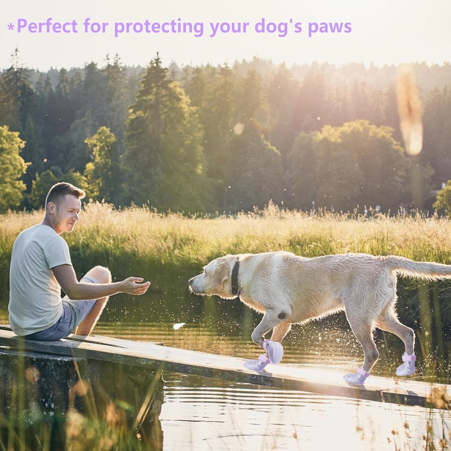 Dog Shoes, Dog Sandals for Hot Pavement